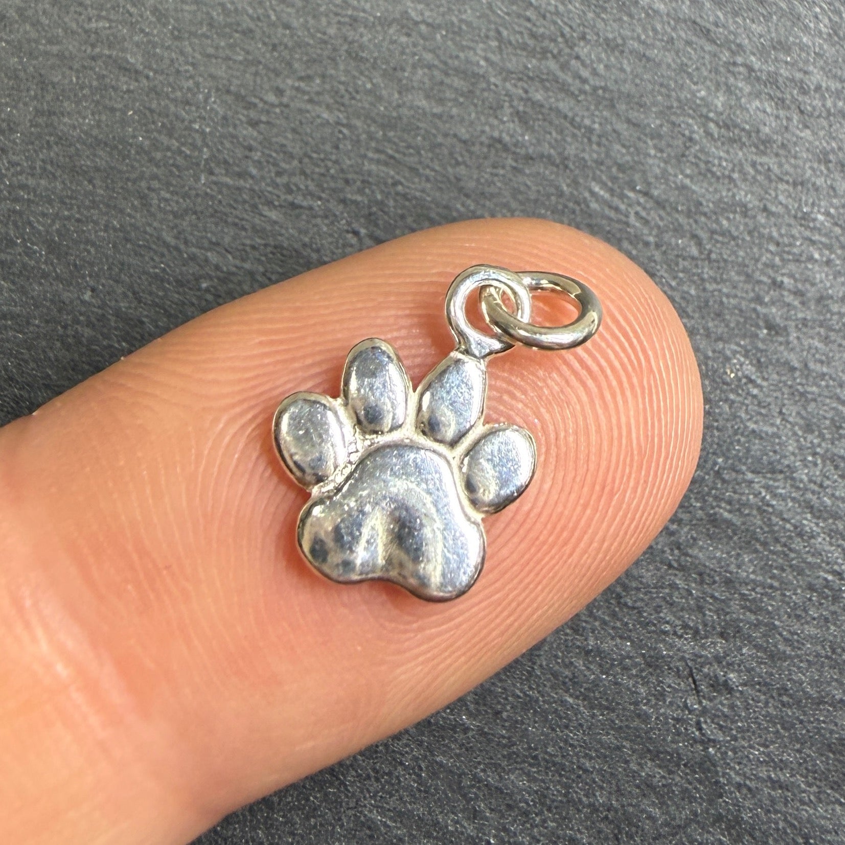 Pfote Charm