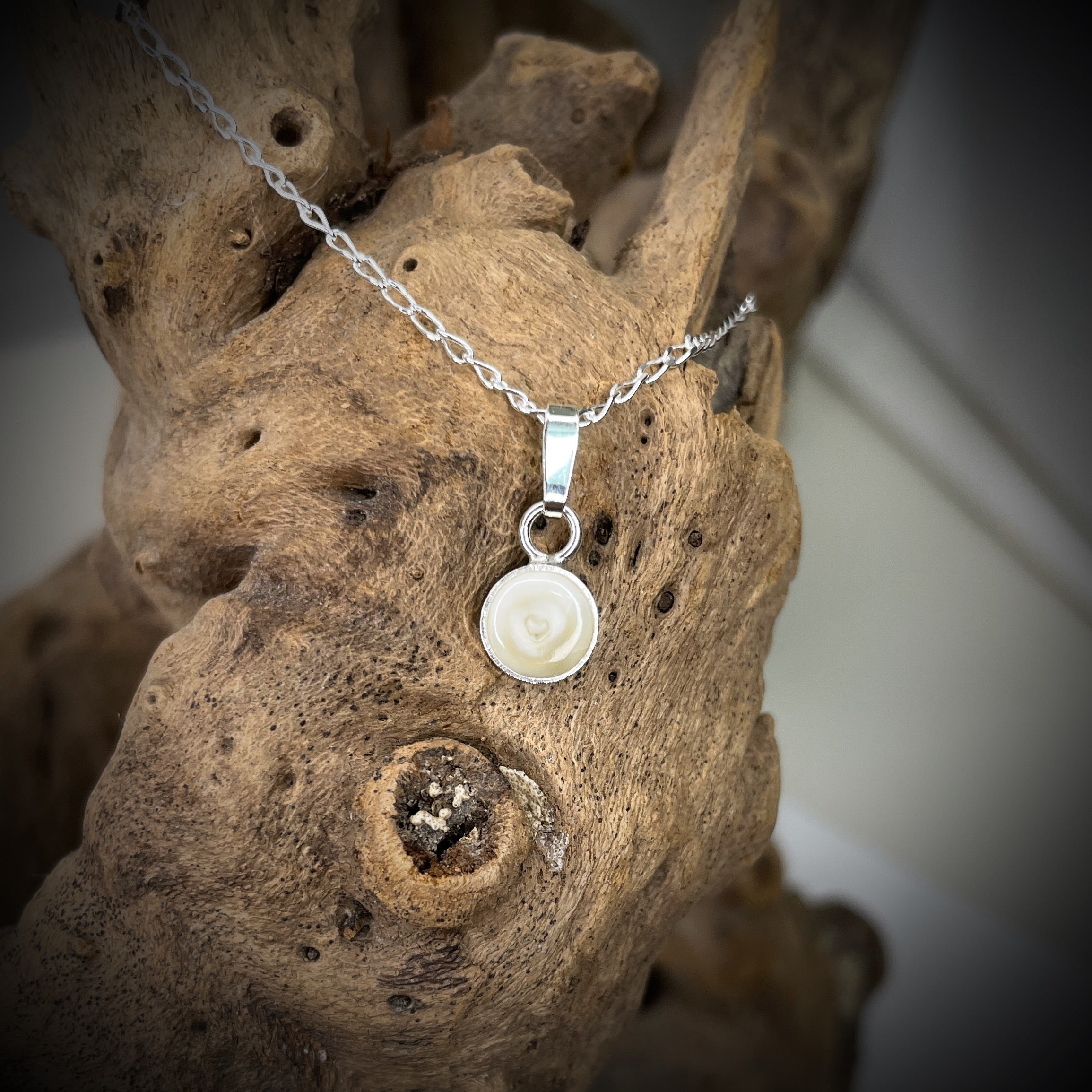 Halskette mit Pferdezahn