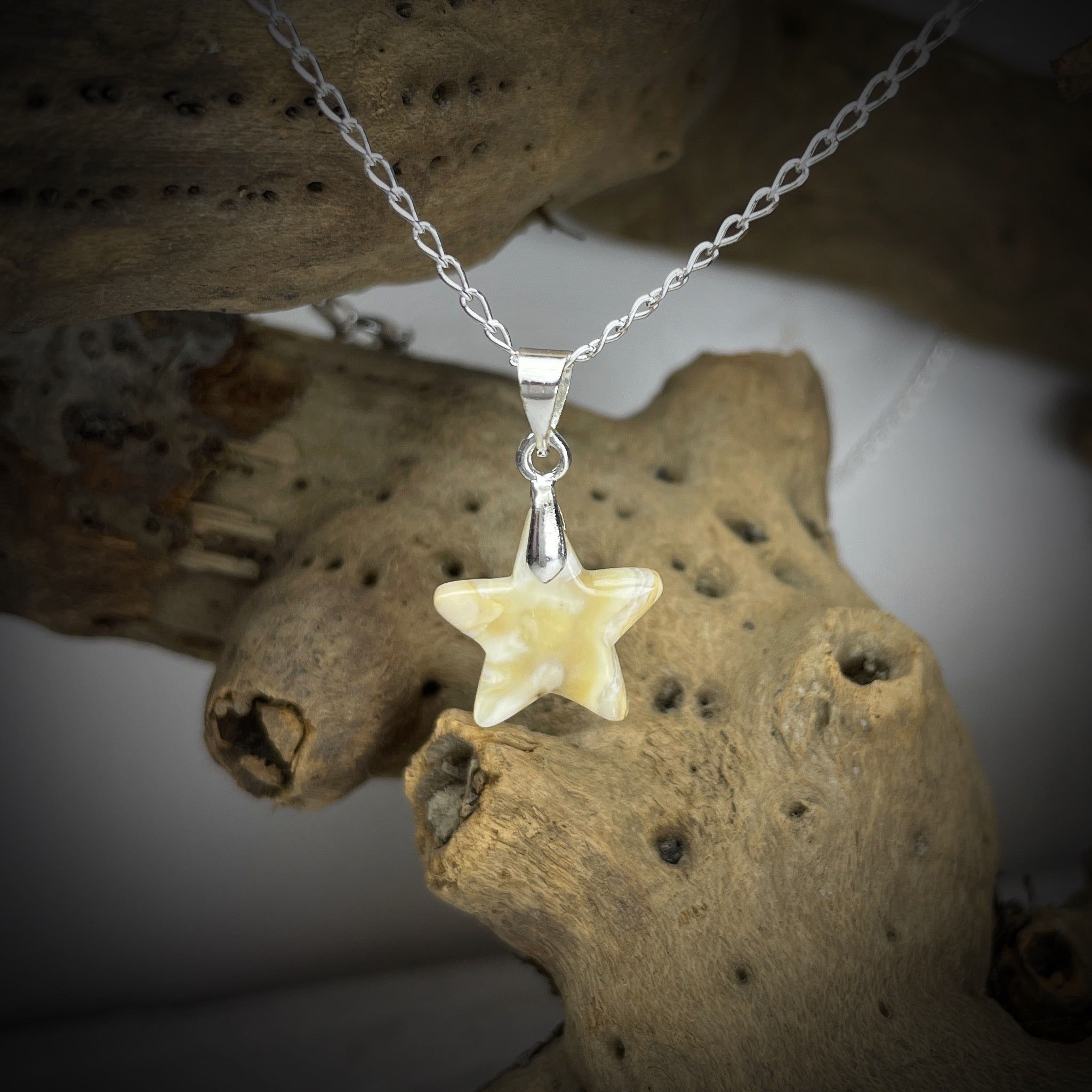 Stern-Anhänger Pferdezahn