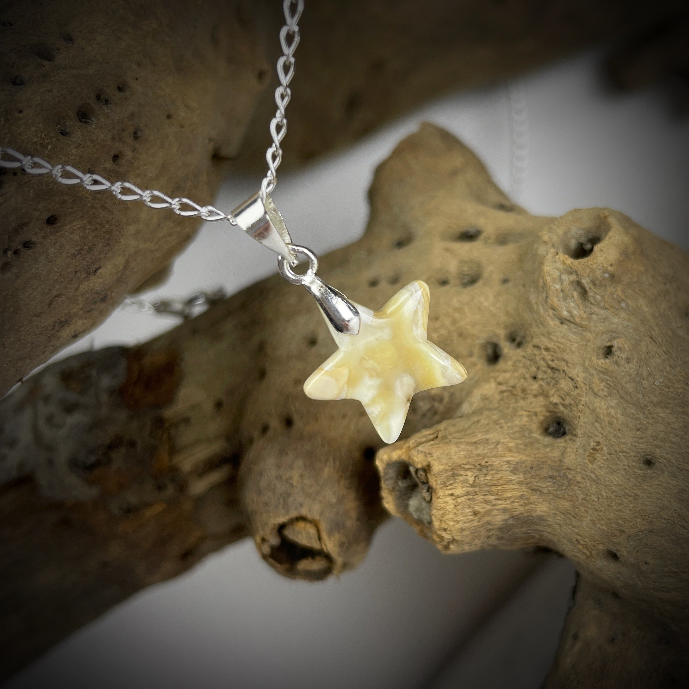 Stern-Anhänger Pferdezahn