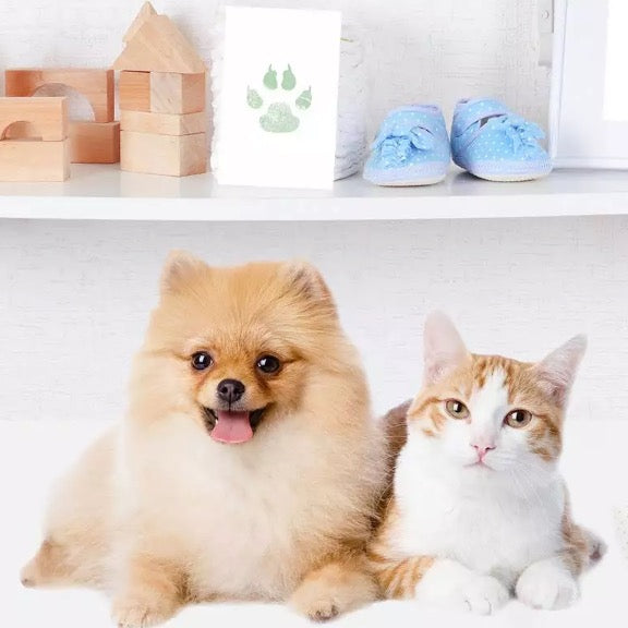 Pfötchen-Abdruck- Set